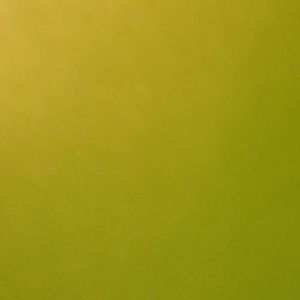 Meet your Posher, Marti